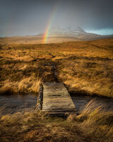 HC Bridge To Rainbows End - Tony Wright