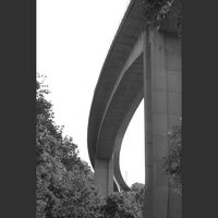 Hazel - Newcastle 2
