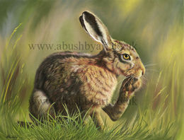 HARE 2