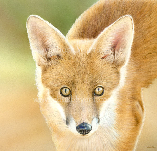 Fox 2