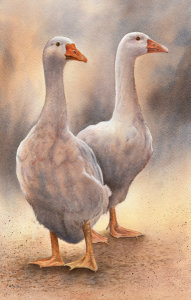 Goosey Goosey Gander