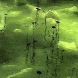 18 03 PONDSCAPE by Belinda Wilson