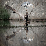 18 GONE FISHING by Paul Wilson