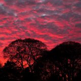 18 SHEPHERDS DELIGHT by John-Paul Thompson