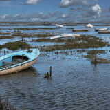 18 WATERLOGGED by Richard Burt