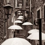 19 - UMBRELLAS by Peter Rees