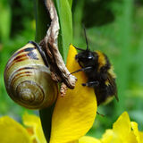 19 A RATHER UNUSUAL 'COUPLE' by Valerie Souster