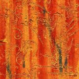 19 COLOURS OF ROUSILLON BY GINA TAYLOR
