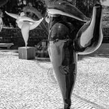 19 FOLLOW MY LEADER by David Hallworth