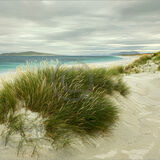 19 HEBRIDEAN DUNES by Richard Burn