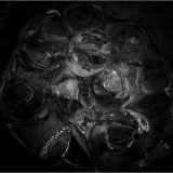 19 ICE IN A GLASS BY BELINDA WILSON