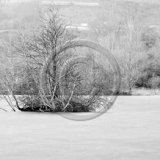 19, LIDLINGTON LAKE by Gary Chester