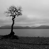 19 NAKED BY THE LOCH by Jo Glenister