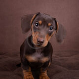 19 PICK ME! by Katrina Wilson