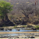 19, RIVER CROSSING by Belinda Wilson