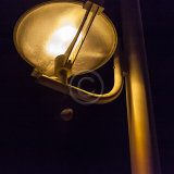 19, ROCK HANGING FROM STREETLIGHT by David Hallworth