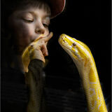 19 THE CHARMER by Paul Wilson
