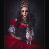 19 THE LADY IN WAITING by Jo Glenister