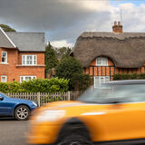 19 TILES V THATCH by David Knapp