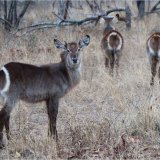 20 - TARGET PRACTICE by Belinda Wilson