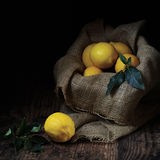 20 BRING OUT THE GIN by Jo Glenister