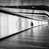 20 LIGHT TRAVELLER by Richard Burn