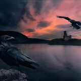 20 THE RAVENS OF ARDVRECK CASTLE by Jo Glenister
