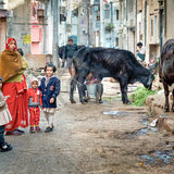21 LIFE ON JAIPUR'S BACKSTREETS by Richard Burn