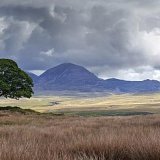 40 PAPS OF JURA by Jo Glenister