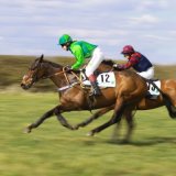 Best Action Colour THE RACE IS ON by Dee Ballard
