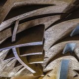 Best Architecture Colour - STRUCTURE MIMICS NATURAL SHELL by Belinda Wilson