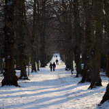 Best Local PDI (Overall) - A LOWRY EFFECT ON ALAMEDA WALK by Helen Castle