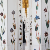 Commended Colour - HALF HIDDEN by David Hallworth