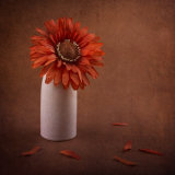Commended Colour - PAINTED POSY by Katrina Wilson
