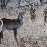 Commended PDI - TARGET PRACTICE by Belinda Wilson
