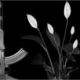 Commended - WAR AND PEACE by Ben Peet