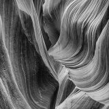 Highly Commended Mono - ANTELOPE IN MONO by Angela Dunn