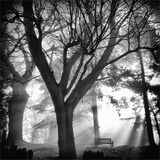 Highly Commended - A PLACE TO SIT by Belinda Wilson