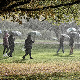 Highly Commended - HEADING FOR COVER by Richard Burn