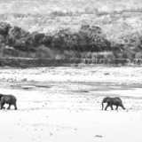 Highly Commended Mono - AFRICAN LANDSCAPE by Belinda Wilson