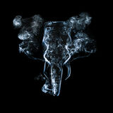 Highly Commended - SMOKING ELEPHANT by Lee Odell