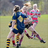 Highly Commended, THE TUSSLE by Iain Frankish