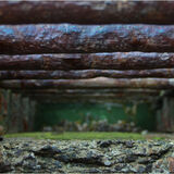 Highly Commended - RUSTY LADDER by Paul Wilson