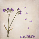 Second Open PURPLE PETALSbyKatrina Wilson