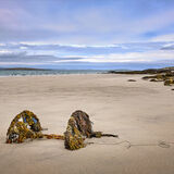 Third LANDSCAPE - BEACHED WHEELS by Richard Burn