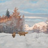 Highland Cows by the Campsies, 50x50cm, oil on canvas (currently unframed £600, framed £650)