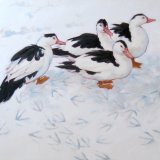 Ducks in the Snow, 60x60cm, oil on canvas, £750