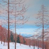 Larches in the Snow, 40x60cm, oil on canvas, £650