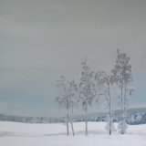 Winter Birches, 60x60cm, oil on canvas, £750