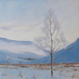 Young Birch, Glen Isla, 20x20cm, £295